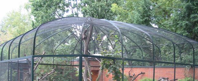 Zoo Animal Enclosure