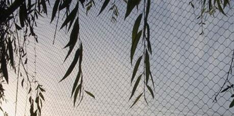 zoo bird netting