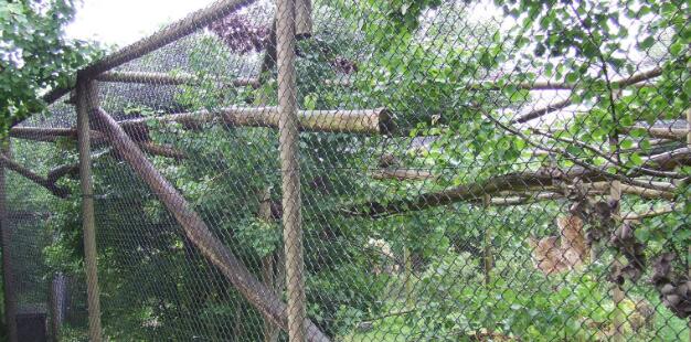 Zoo Animal Enclosure