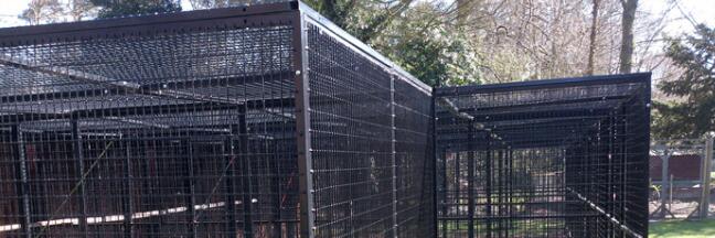 Zoo Animal Enclosure
