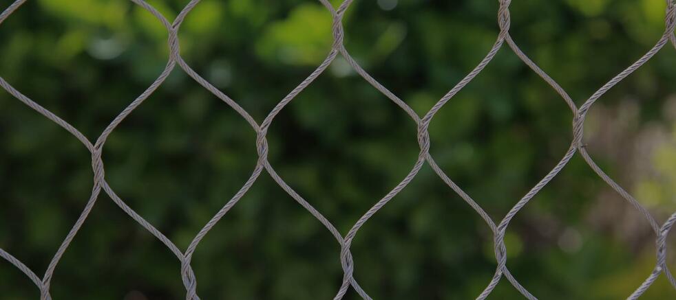 zoo mesh