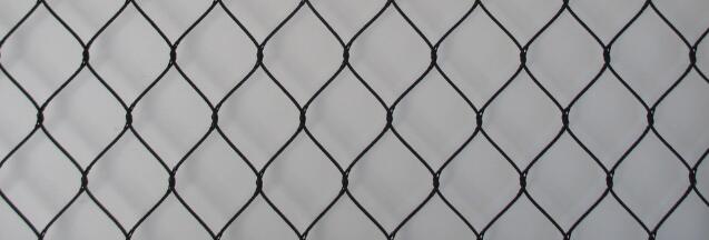 zoo mesh australia