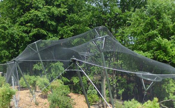 zoo bird netting