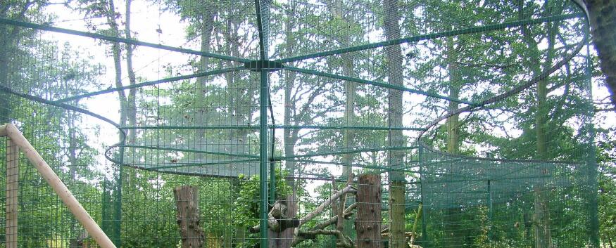 Zoo Animal Enclosure