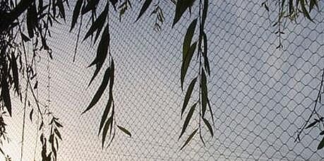 zoo bird netting for sale
