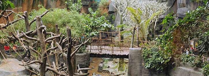 Zoo Animal Enclosure for Sale