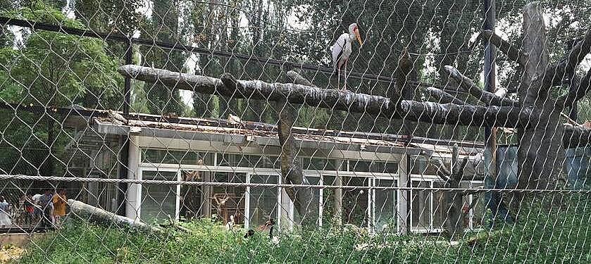 zoo mesh suppliers china