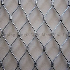 Ferrule Mesh